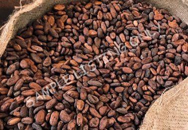 Eswatini Cocoa Beans