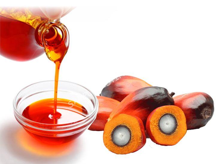Pure Eswatini Palm Oil